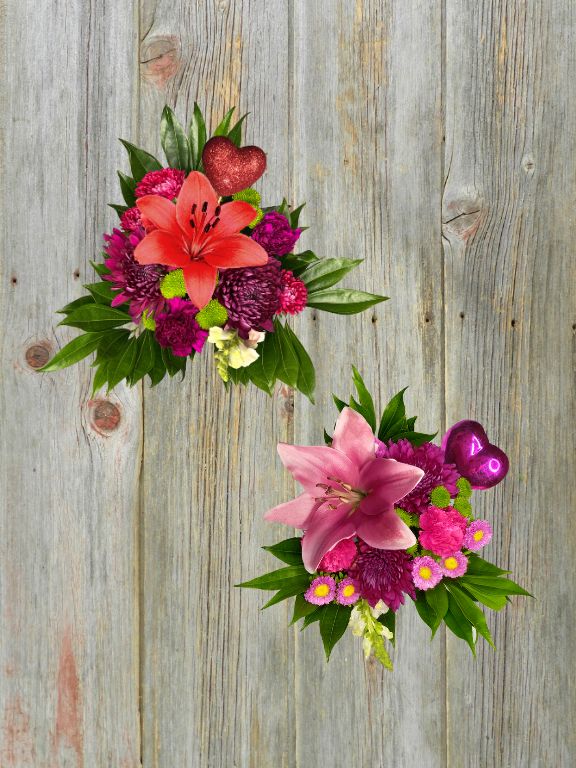 CUPIDS CHOICE COMBO 2 LOOKS PER CASE